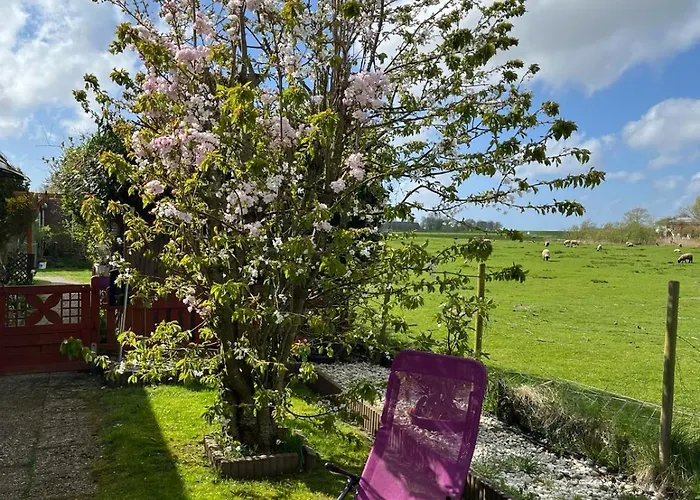 Huus 38c Vakantiehuis Westerdeichstrich