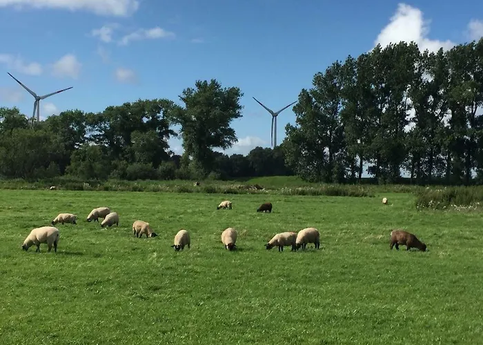 Vakantiehuis Huus 38c *